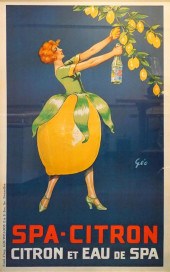 FRAMED SPA-CITRON REPRODUCTION