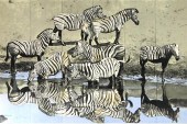 FRAN BULL (UNITED STATES B. 19