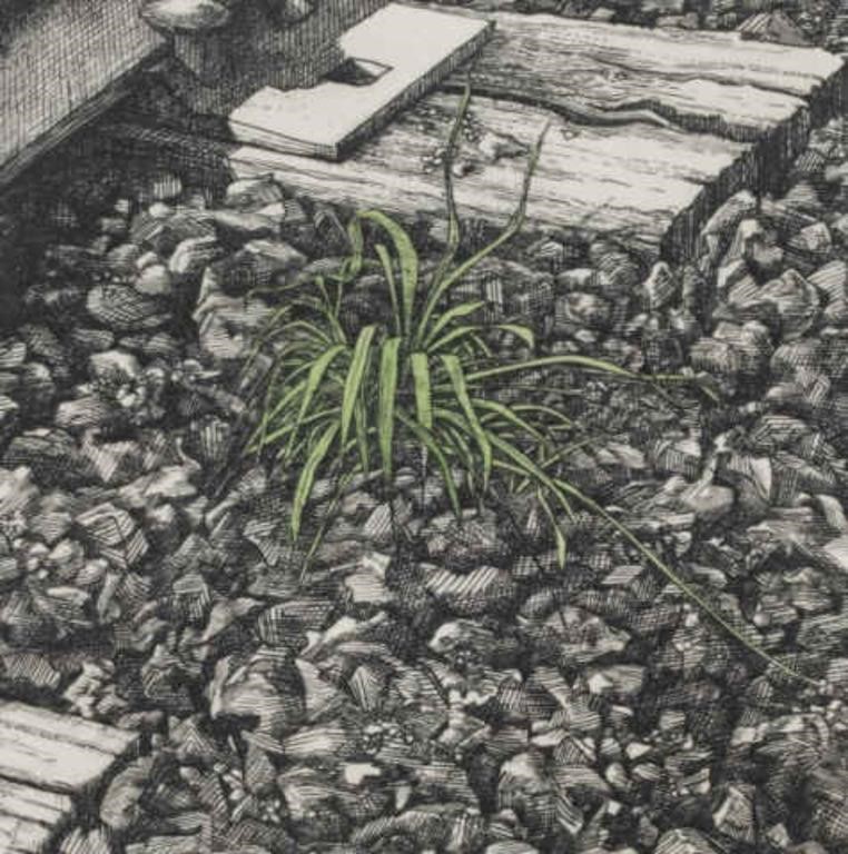 FRANC VAN OORT ( 1953 - )