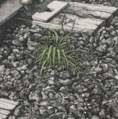 FRANC VAN OORT ( 1953 - ) CANA