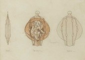 FRANCES MACDONALD MCNAIR (1873