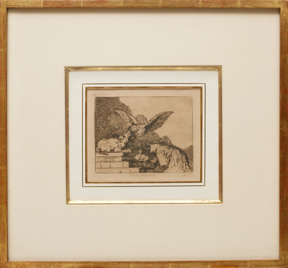 FRANCISCO JOSé DE GOYA Y