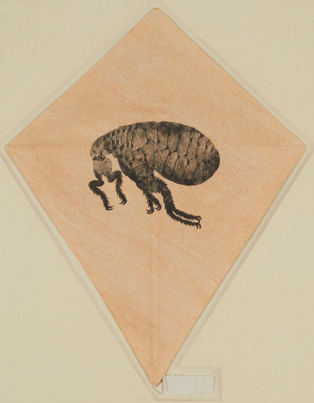 FRANCISCO TOLEDO, (1940-2019),