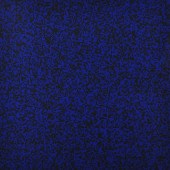 FRANCOIS MORELLET (b. 1926): 4