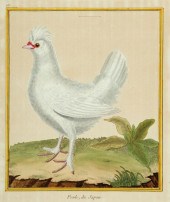FRANCOIS NICOLAS MARTINET (FRE