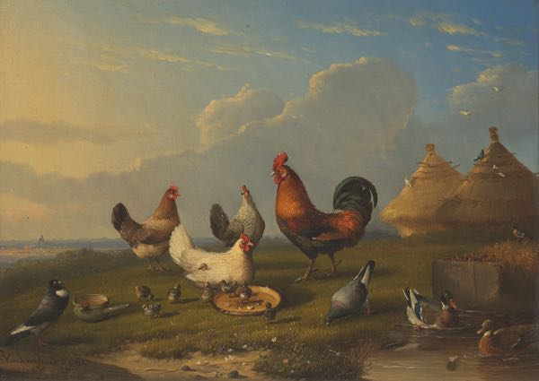 FRANCOIS VANDEVERDONCK