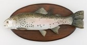 FRANK ADAMO RAINBOW TROUT POCA