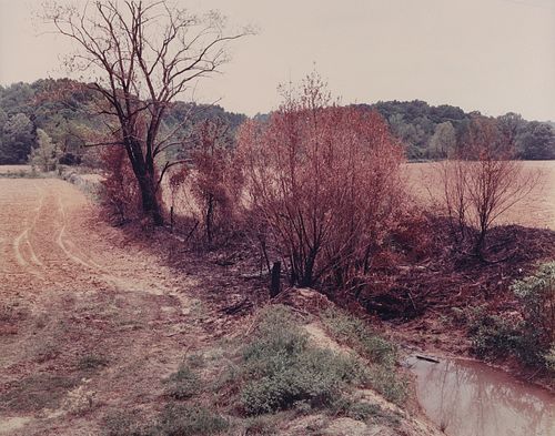 FRANK GOHLKE "A BURNED PATCH"