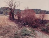 FRANK GOHLKE "A BURNED PATCH"