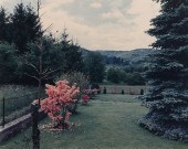 FRANK GOHLKE "A YARD NEAR MELI