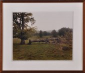 FRANK GOHLKE (b. 1942): FALLEN