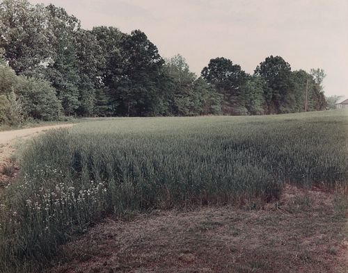 FRANK GOHLKE "LAWN - KOSSUTH, MS"