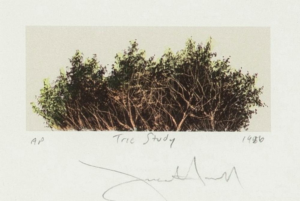 FRANK HOWELL, TREE STUDY, 1986Frank