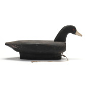 FRANK MIDGETT (NC), COOT<br>Fr