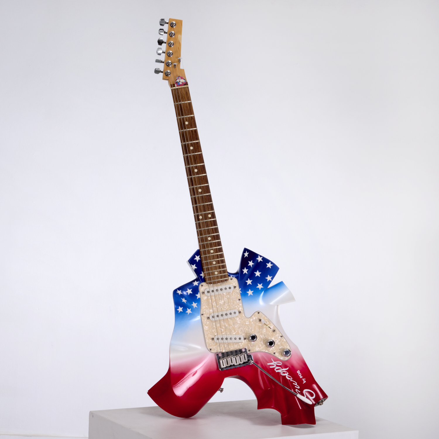 FRANK O. GEHRY, CUSTOM FENDER