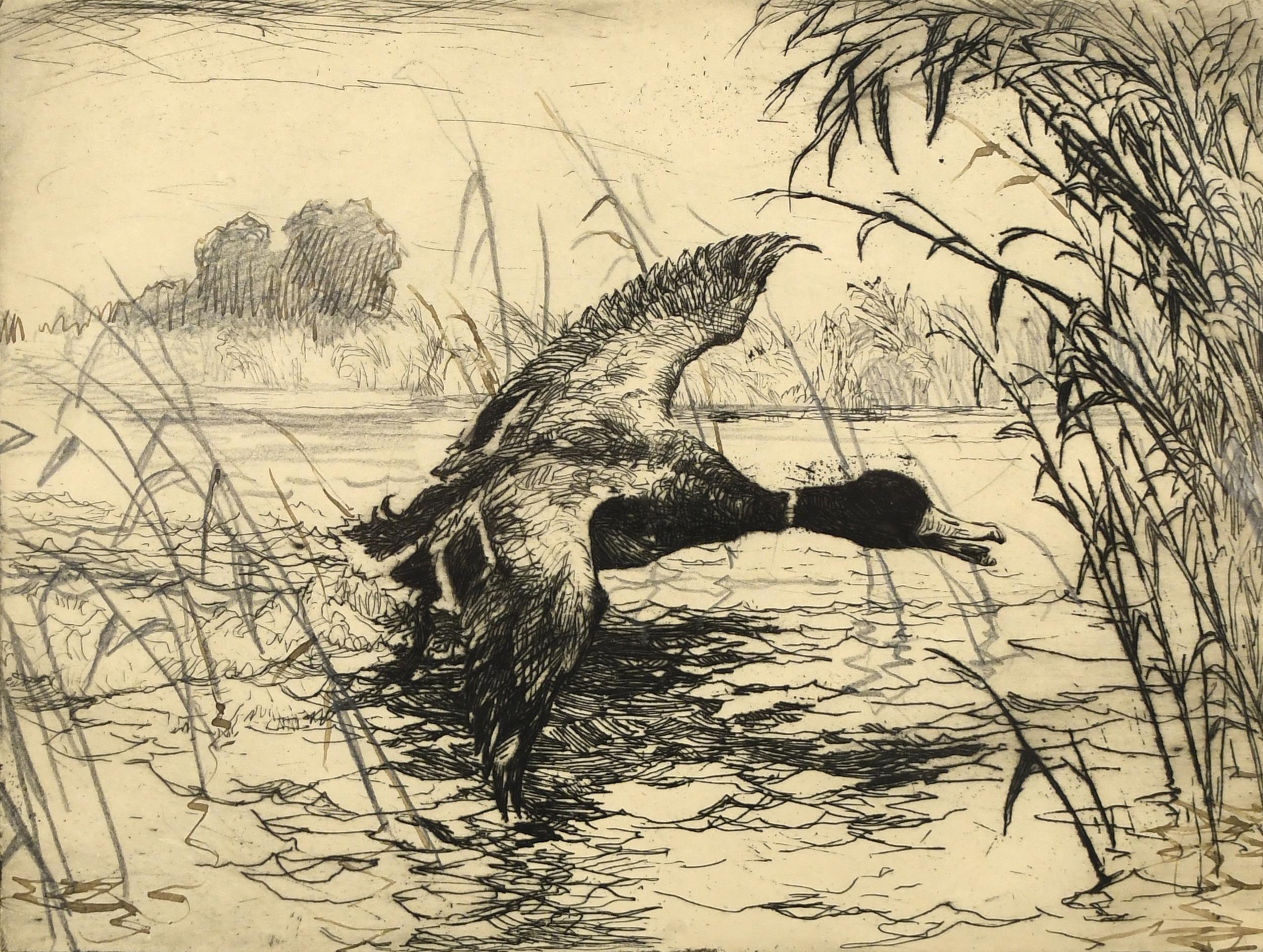 FRANK W BENSON MALLARD DRAKE