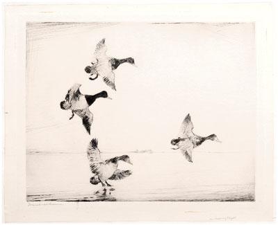 Frank Weston Benson etching