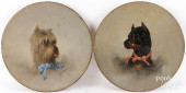 FRANKLIN BRISCOE DOG PORTRAITS