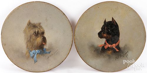 FRANKLIN BRISCOE DOG