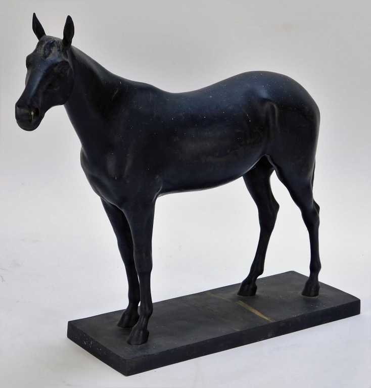 FRANZ RICHTER ARABIAN STALLION