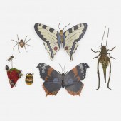 Franz Xaver Bergmann. butterfl