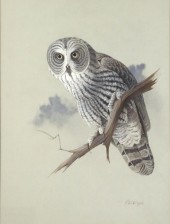 FREDERICK WILLIAM WETZEL (20TH