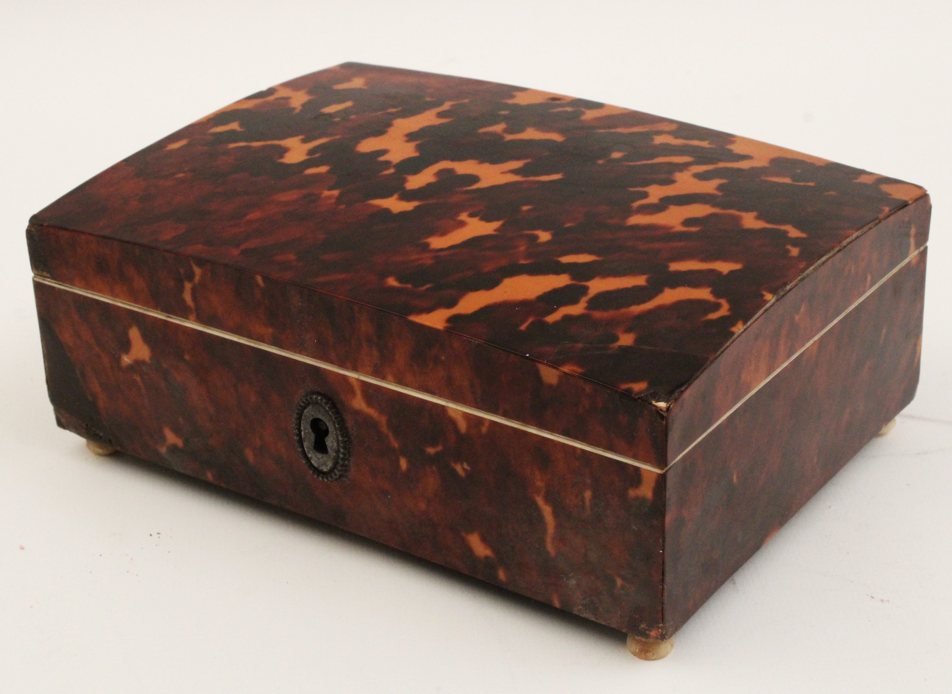 FRENCH ANTIQUE EXOTIC SHELL