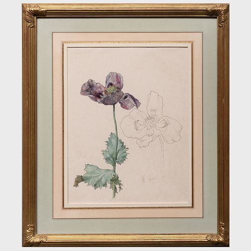 FRENCH SCHOOL: BOTANICAL STUDIES: