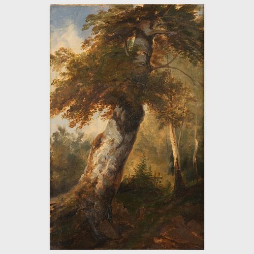 FRENCH SCHOOL: FOREST STUDY; AND