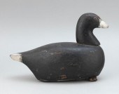 FRESHWATER COOT DECOY 20TH CEN