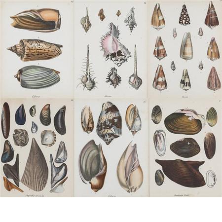 Friedrich Berge [SHELL STUDIES] Six