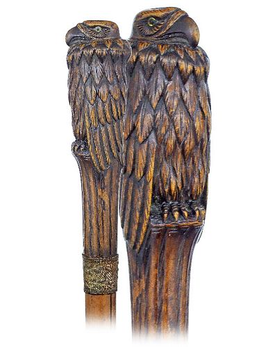 FRUIT WOOD CONDOR CANECa.