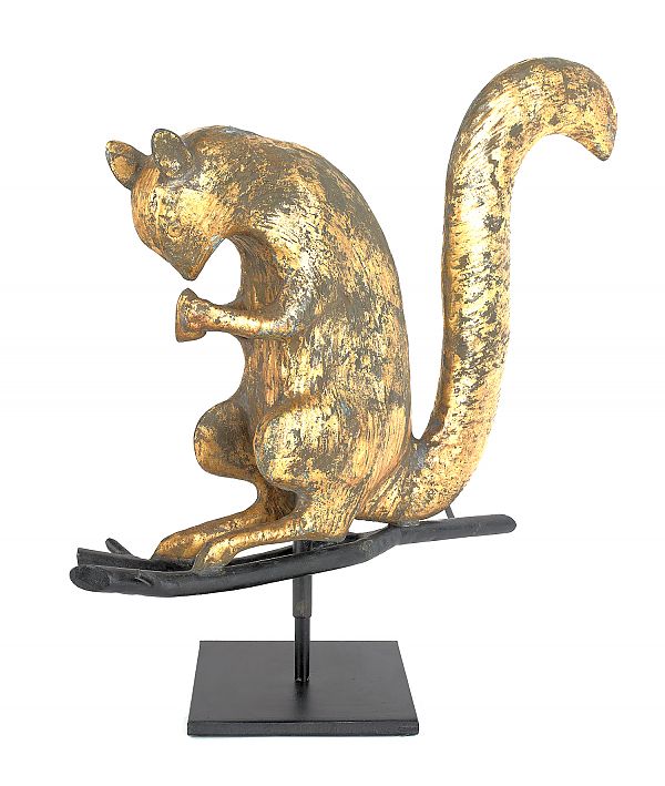 Full-bodied copper squirrel