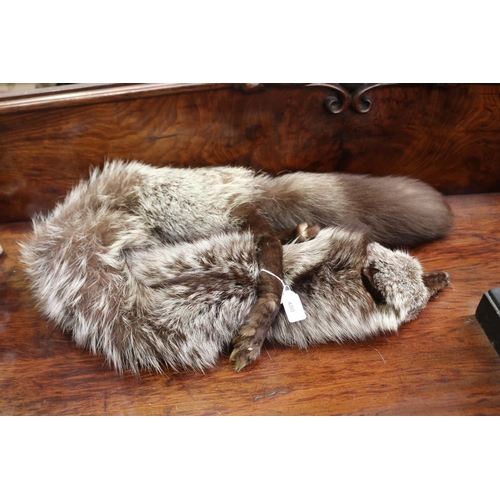 Full body fox stole
