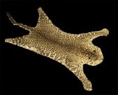 Full Jaguar Skin Rug,  the wel