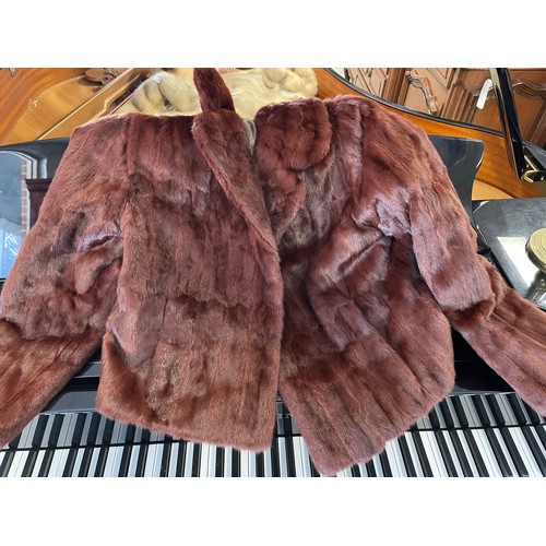 Fur jacket, 3/4 sleeve, short