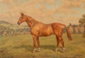 G A Cattley (1878-1966)/Horse