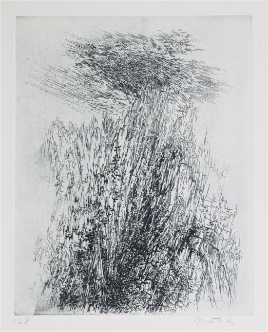 Gabor F. Peterdi (American