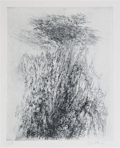 Gabor F. Peterdi (American 191