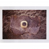 GABRIEL OROZCO, PHOTOGRAPH, 20