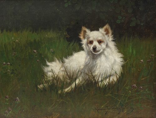 GABRIELLA RAINER-ISTVANFFY