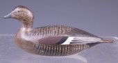 GADWALL BY JOSEPH LINCOLN Amon
