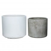 GAINEY, PLANTERS, 2 Gainey, Pl