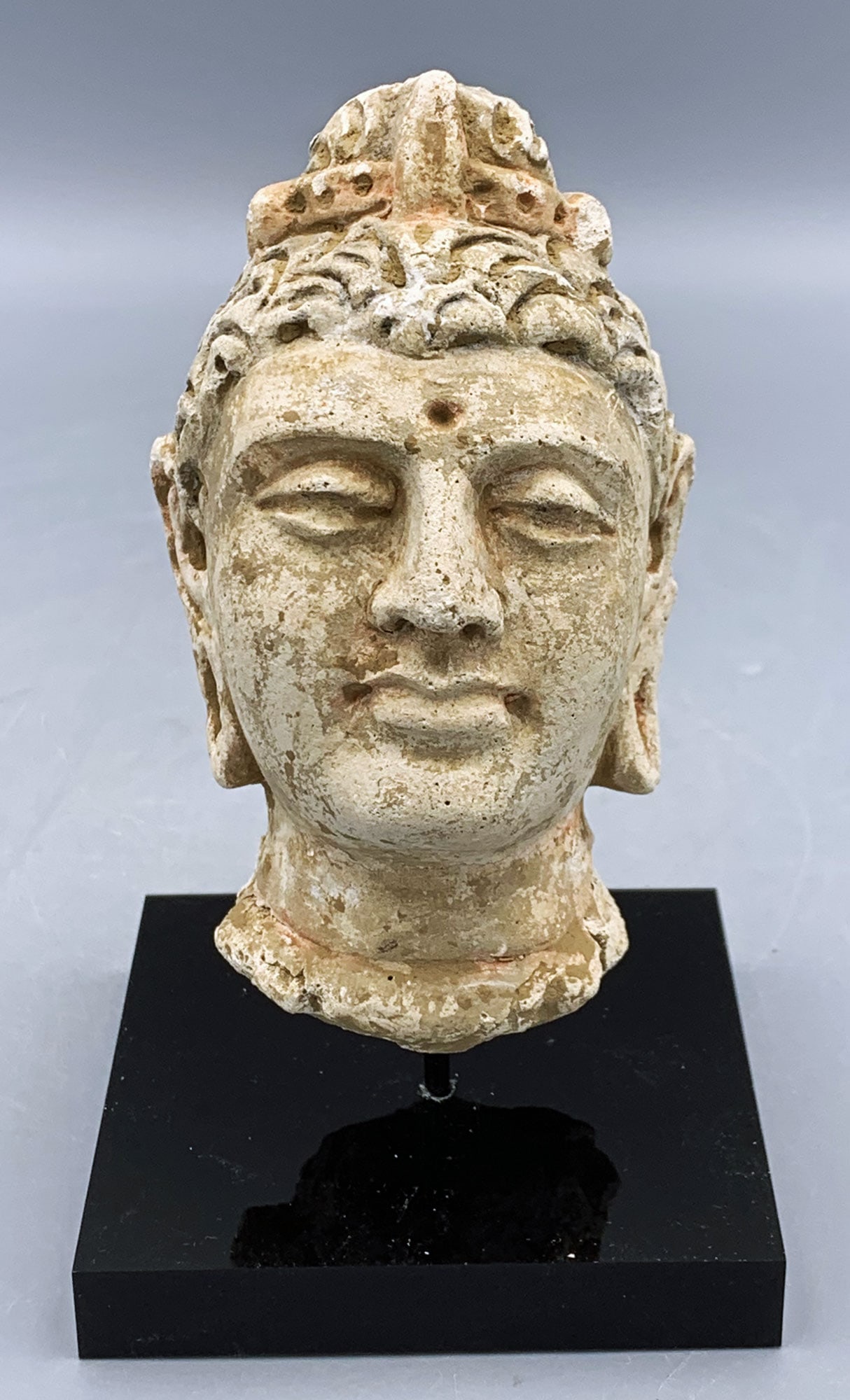 GANDHARAN STUCCO HEAD - INDUS