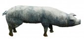 GARDEN: STANDING PIG FIGURE, L