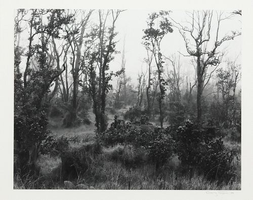 GARY FAYE (B.1938) GELATIN SILVER