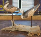 GARY GIBERSON, DRIFTWOOD SHORE