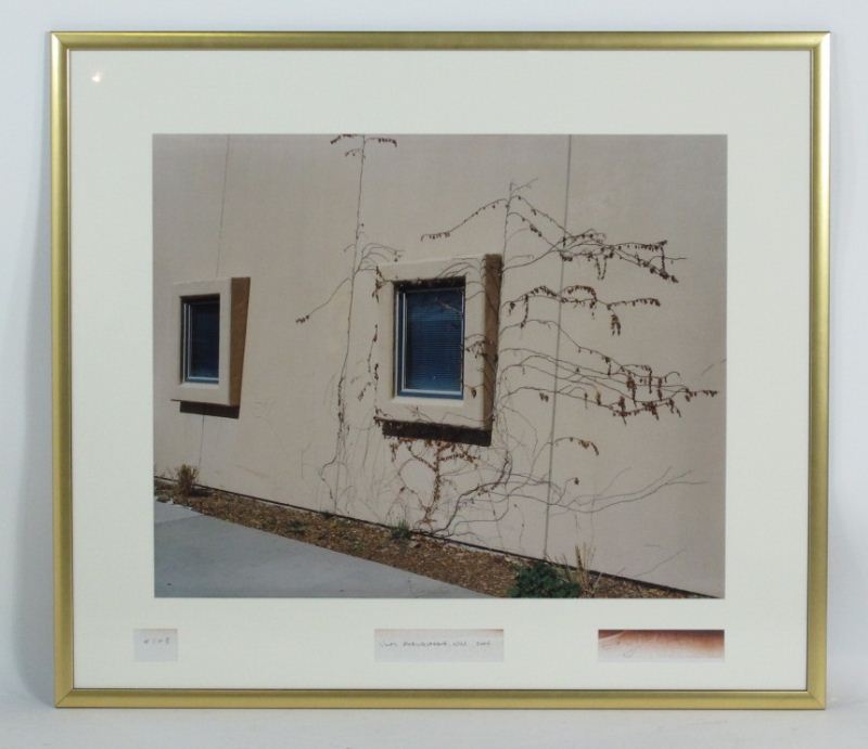 Gary Hart (American) ''Vines