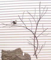 GARY LAWRENCE ORIGINAL METAL W