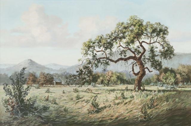 GAY WOODS (TX) LONE TREE
